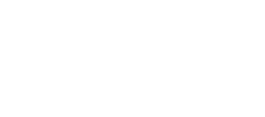 annexe 15 figure 1