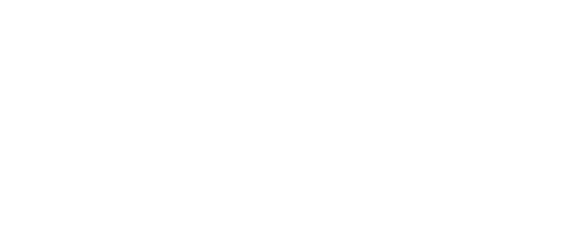 annexe 15 figure 4