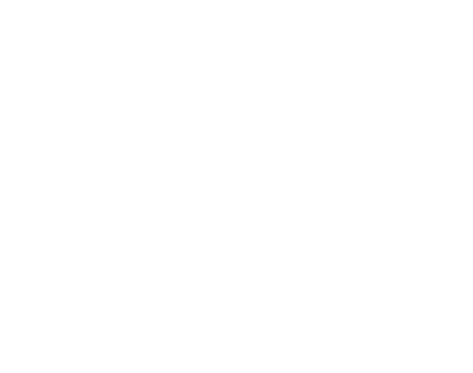 annexe 19 figure 2