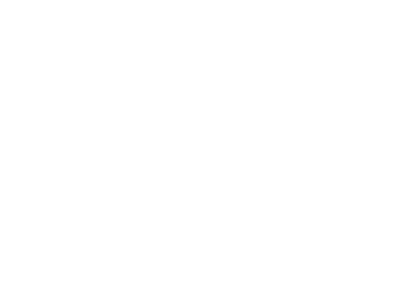annexe 19 figure 3