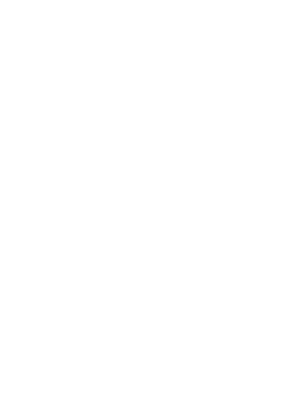 annexe 19 figure 4