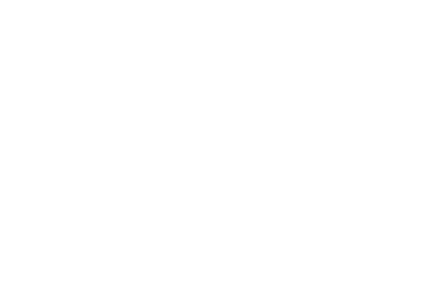 annexe 6.5 figure 1