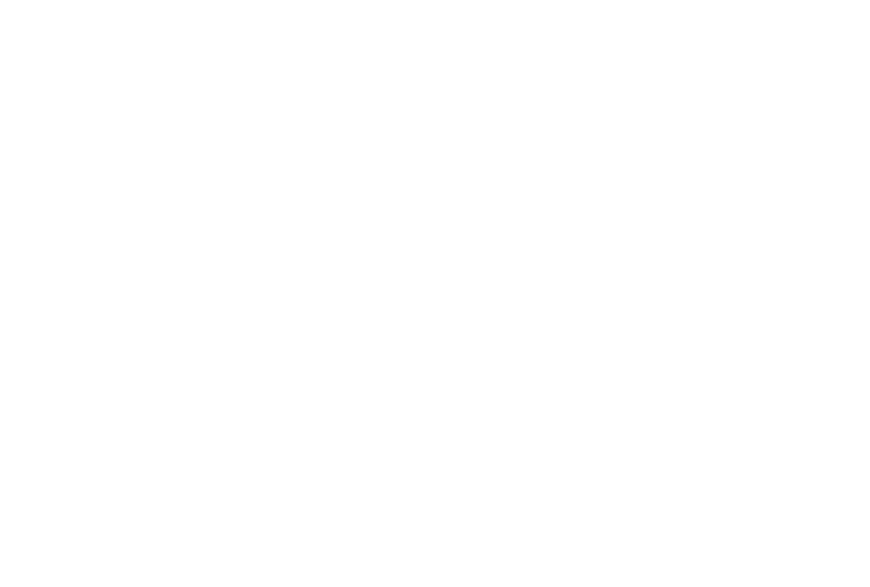 annexe 9 figure 1